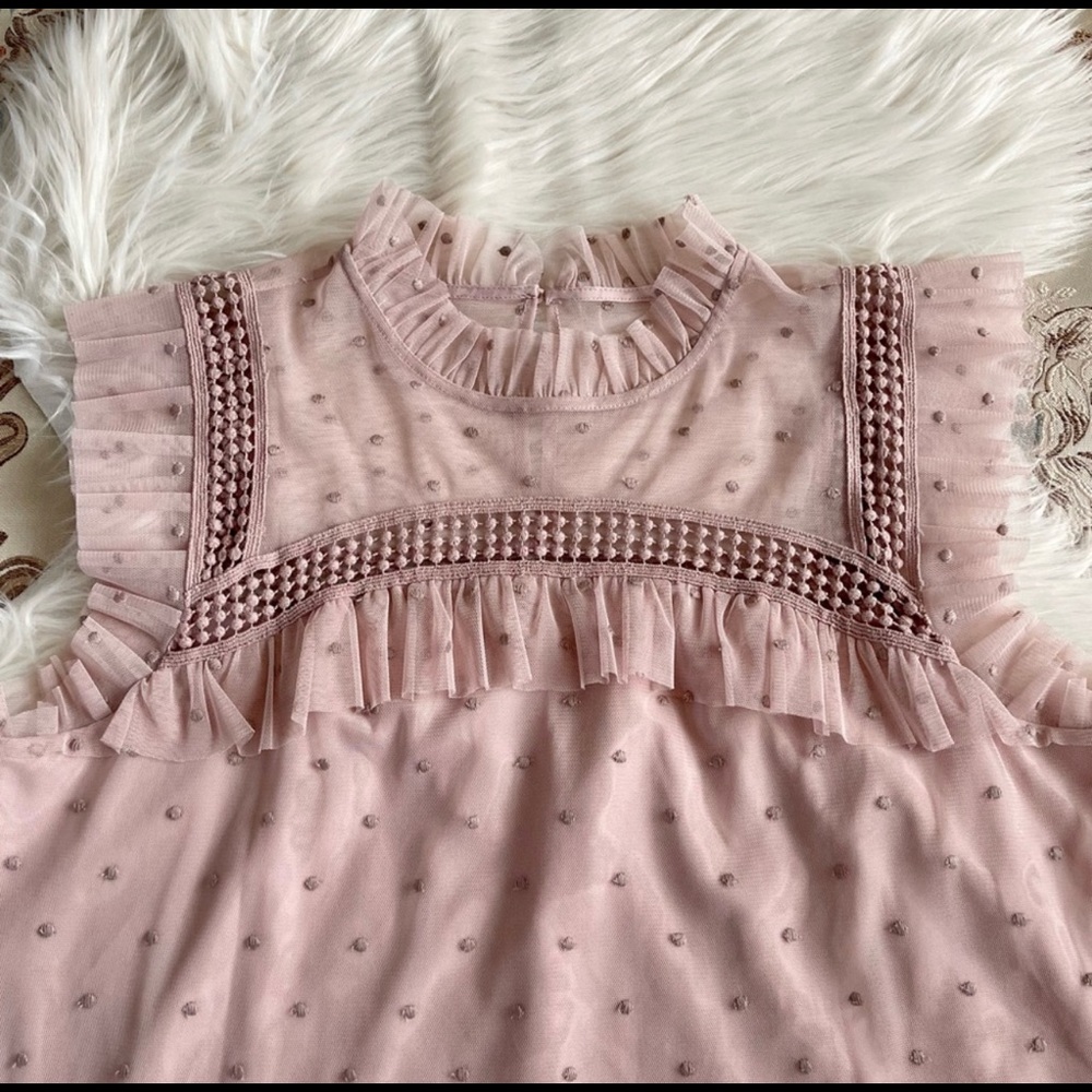 BB Dakota Women’s Sleeveless Roslyn Embroidered Dotted Mesh Pink Top EUC Size S - Picture 3 of 9